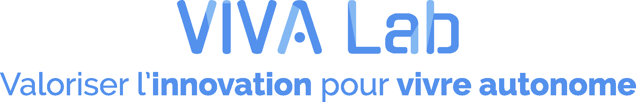VIVA Lab